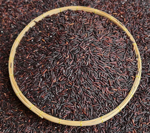 RICEBERRY RICE 100% LONG GRAIN